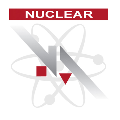 NA Engineering Associates Inc. Steps onto the International Nuclear Stage